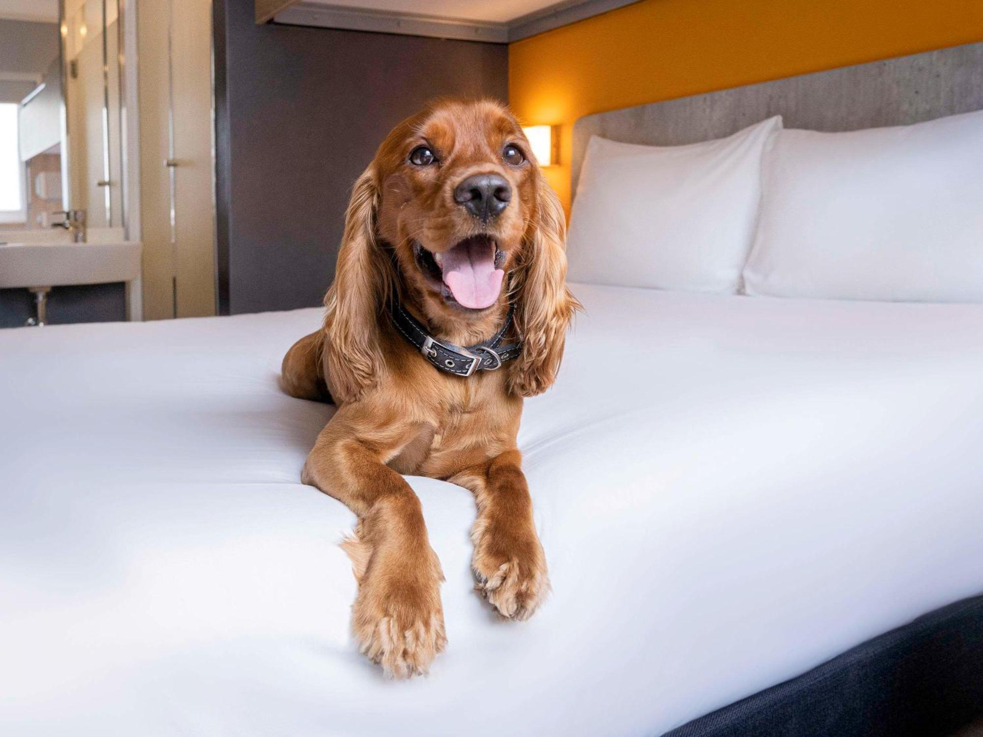 Ibis Budget Lima Miraflores Buitenkant foto
